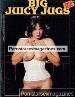 Magazine Big Juicy Jugs Volume 5 No 2 (1981)